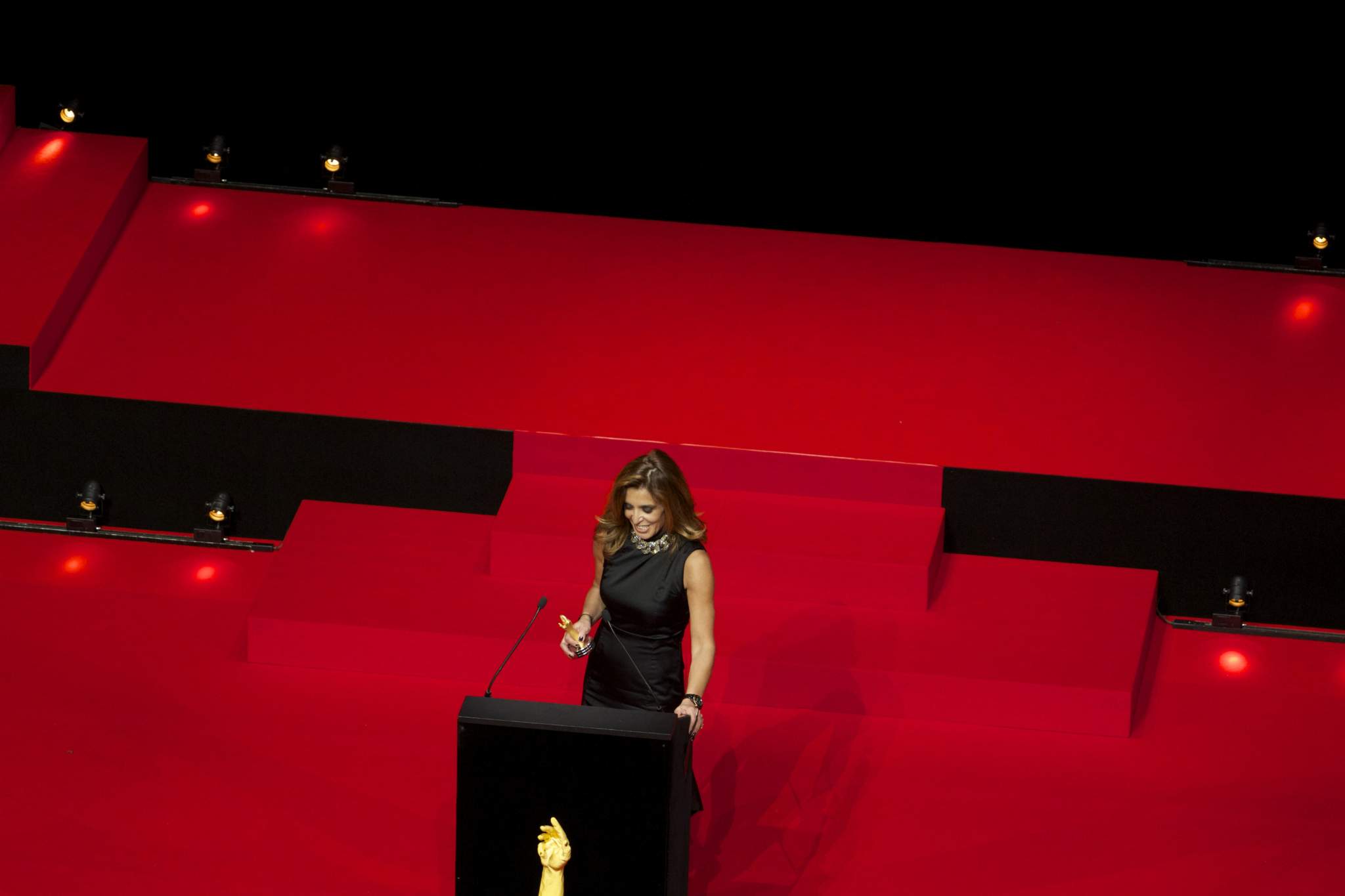 Nazanin Lankarani, member of the Jury 2013
